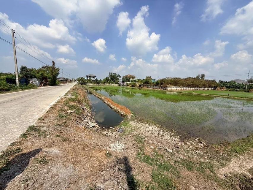 ขายด่วนที่ดิน 367 ตรว ติดถนนคอนกรีตสาธารณะ (แบ่งได้)  ศาลายา อ.พุทธมณฑล จ.นครปฐม 9