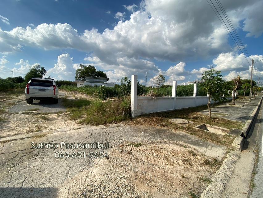 ขายที่ดินผังสีม่วง 6-0-71.4 ไร่ WHA ตะวันออก มาบตาพุด ระยอง ติดถนน 4 เลน ไฟฟ้า 3 เฟสผ่านหน้าแปลง 12