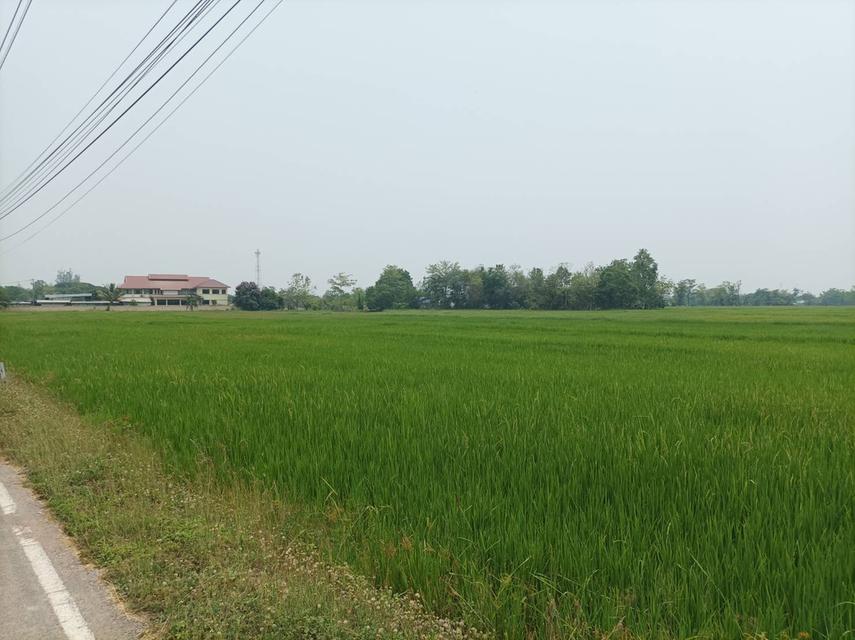 ขายที่ดิน ราคา8,000บาท/ตร.ว. ต.สง่าบ้าน อ.ดอยสะเก็ด จ.เชียงใหม่ 16