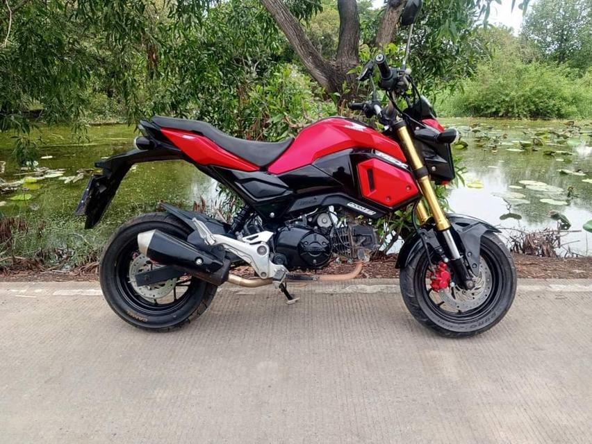 ขาย Honda MSX สภาพดี 3