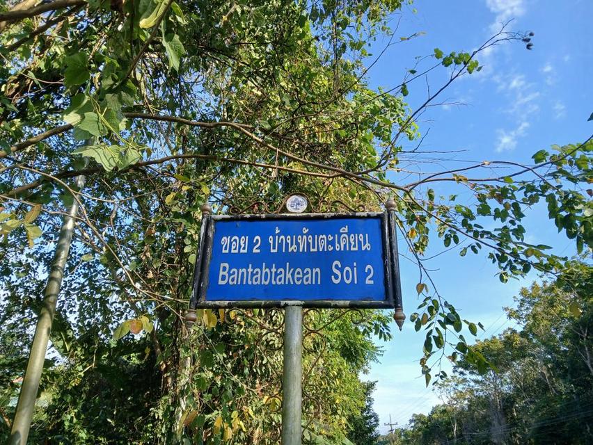 ขายที่ดินเปล่าโฉนด 1 งาน 14 ตร.ว. อยู่ในชุมชน ต.นาชะอัง อ.เมืองชุมพร ห่างศาลากลางจังหวัดเพียง 3 กม. ที่เนินปลอดภัยจากน้ำท่วม