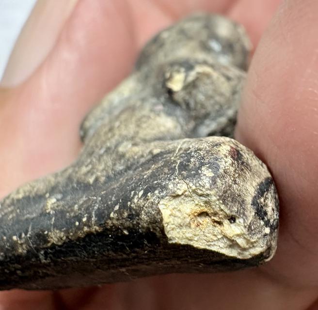 พระปิดตาลอยองค์ เนื้อผงไม่ทราบที่ องค์ละ800 6