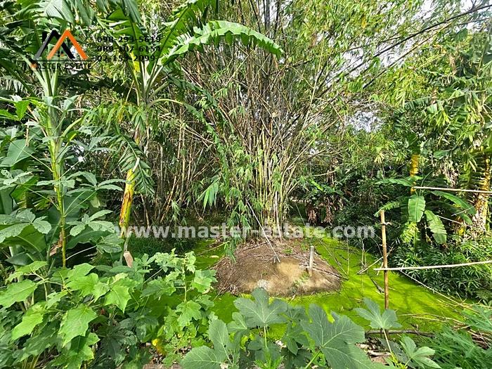 ที่ดินเปล่า 250 ตร.ว. ไทรม้า ซอย 11 (บางอ้อ 2) ติดถนนสาธารณะ ทรงสี่เหลี่ยมสวย ราคาลดประชดเศรษฐกิจ มีแค่ 3 แปลงเท่านั้น 11