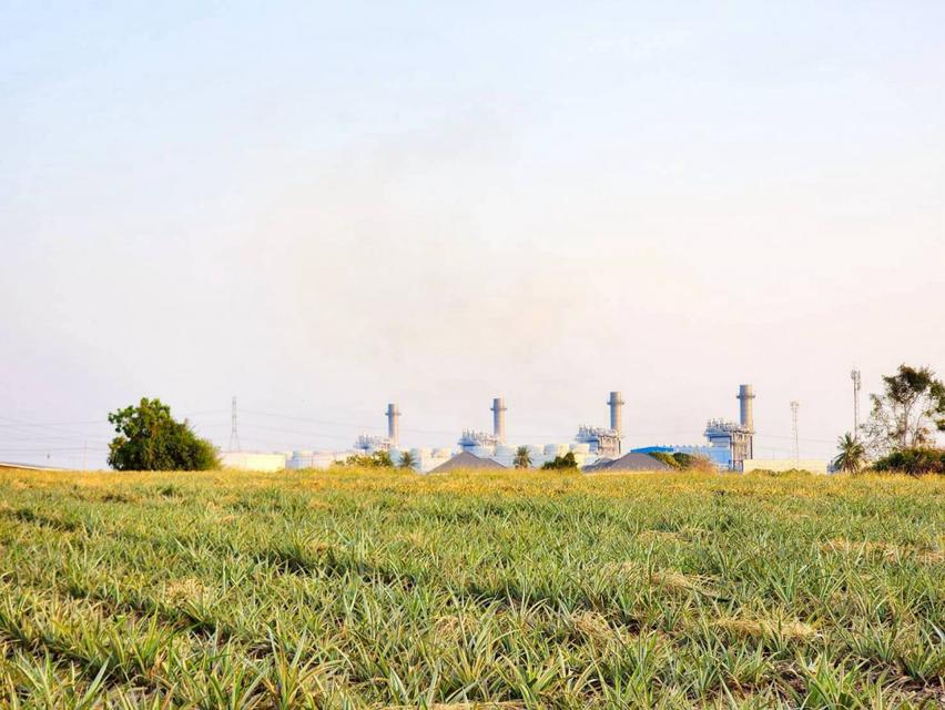 ขายที่ดินอุตสาหกรรมศักยภาพสูง | ปลวกแดง – ระยอง เนื้อที่รวม 53-3-63.9 ไร่ 5