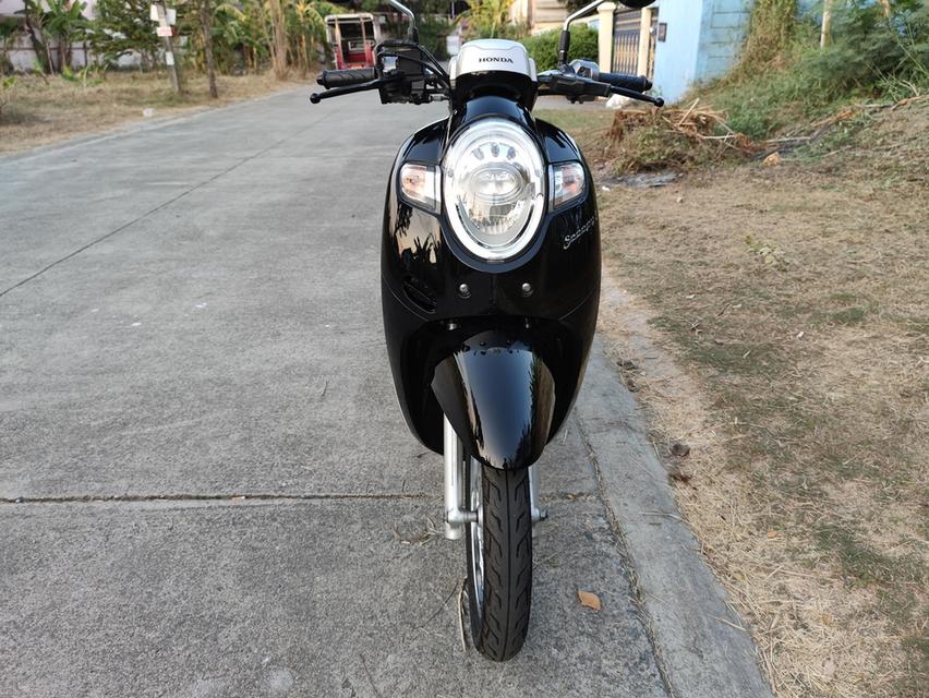 เก็บปลายทาง  Honda scoopy i สด-ผ่อน 5