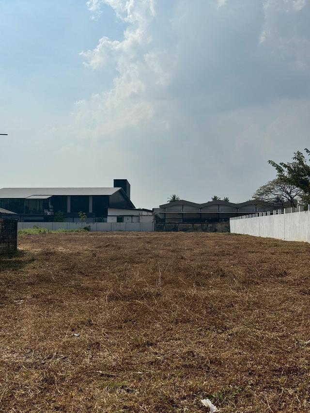 ขายที่ดินเปล่า แปลงสวย ทำเลดี ย่านบางบอน 4 9