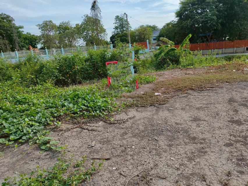 ที่ดิน ตรงข้ามอบต.ไผ่กองดิน อ.บางปลาม้า จ.สุพรรณบุรี 1