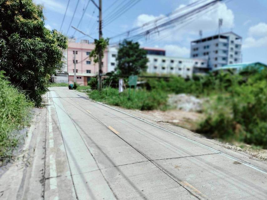 ขายด่วนที่ดิน 198 ตรว ติดถนนคอนกรีตสาธารณะ 2 ด้าน ซ.ลิขิตไก่ย่าง บางบัวทอง นนทบุรี 5