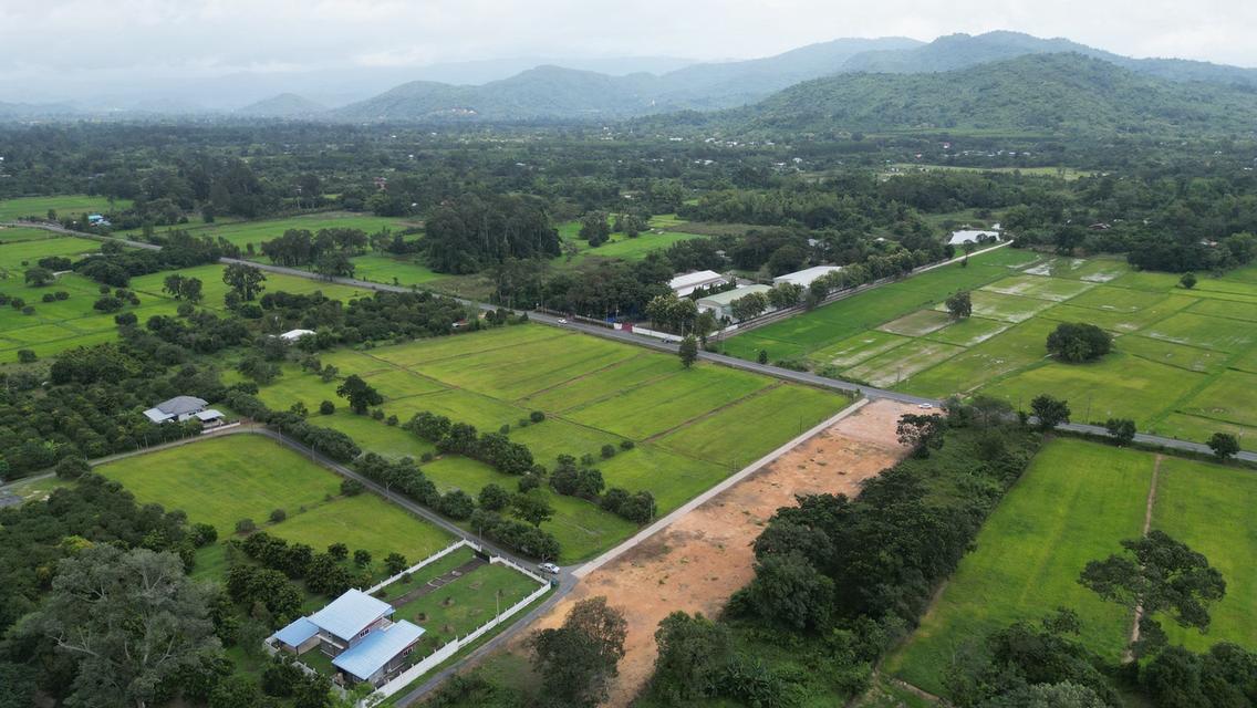เปิดขายที่ดินทำเลบ้านนา นครนายก เริ่มต้นเพียง 4,900 บาท/ตร.ว. 6
