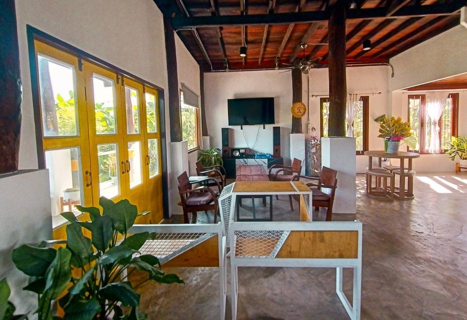 บ้านในสวนว่างให้เช่า 9