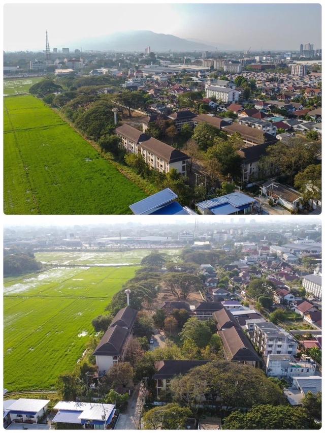 ที่ดินเชียงใหม่ต่ำกว่าราคาประเมิน ขายที่ดินในเมืองเชียงใหม่ 6