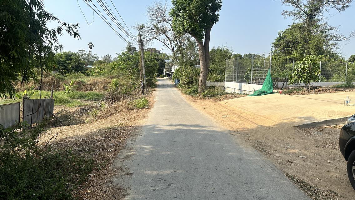 ขายที่ดิน 1 ไร่ (400 ตร.วา) ต.สวนพริก เมืองพระนครศรีอยุธยา 8