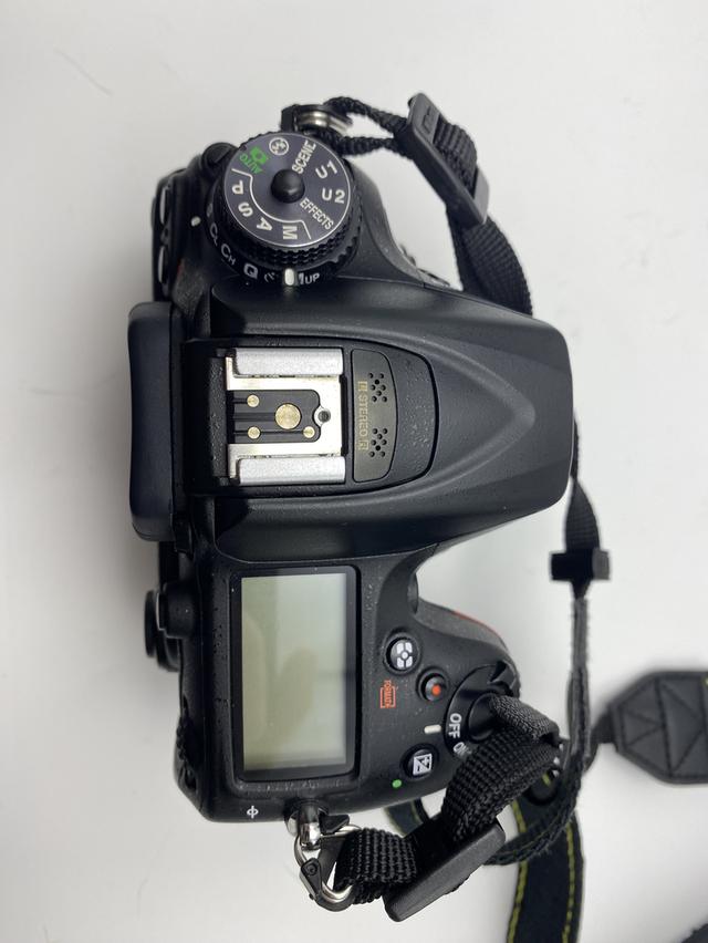 Nikon D7200 (Body) 6