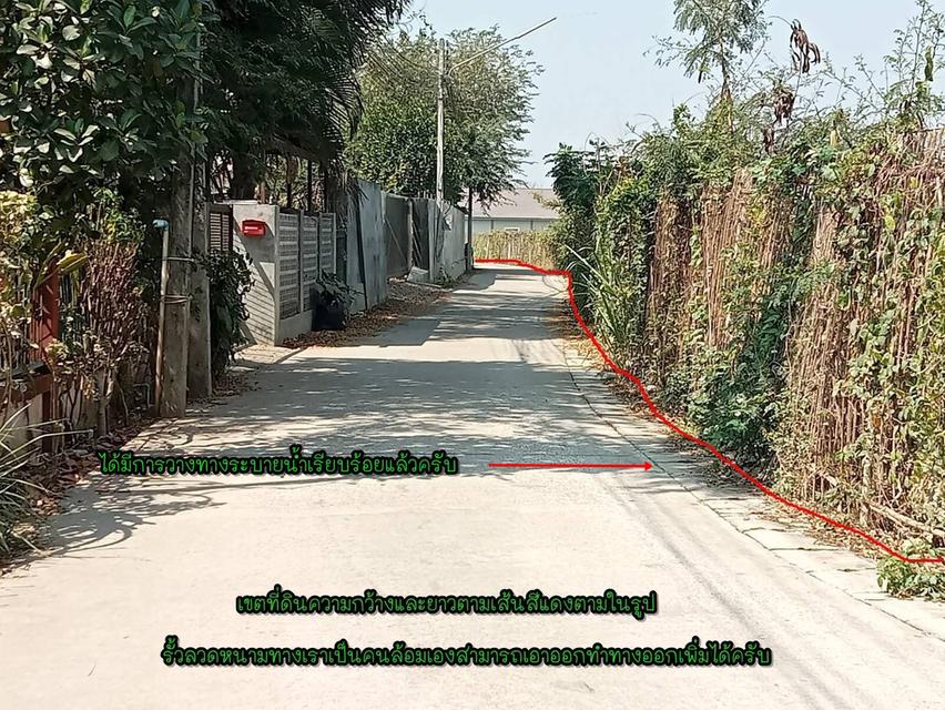 ที่ดินเปล่า/ไม่แบ่งขาย 15