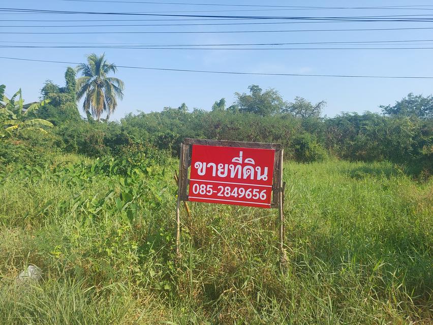 ขายที่ดิน 2 งาน 50 วา.อำเภอลาดยาว 1