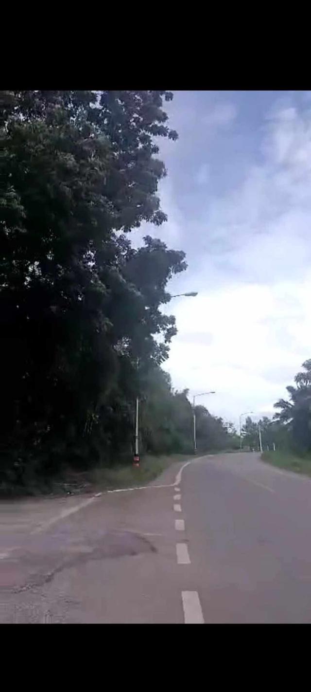 ขายที่ดินติดถนน 304 ใกล้ รพ.จุฬารัตน์ 4