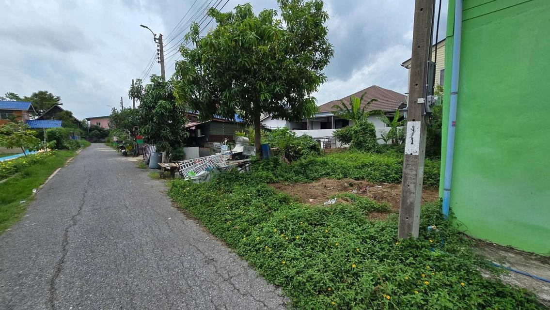 ขายด่วนที่ดิน 20 ตรว ติดถนนสาธารณะ ซ.ชุมชนเคหะฉลองกรุง โซน 5 ซอย 1 หนองจอก กทม. 6