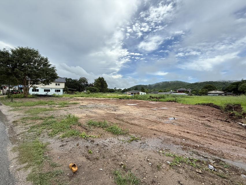 ที่ดิน 4