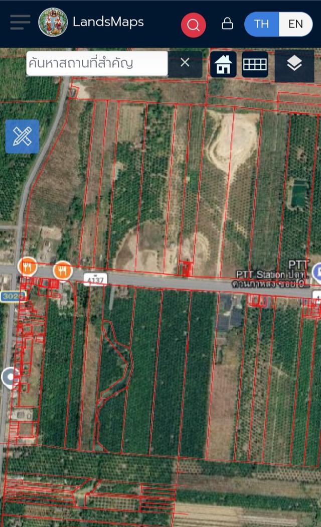 ที่ดินสวนปาล์ม อำเภอควนกาหลง จังหวัด สตูล ติดถนนทางหลวง 4137 3