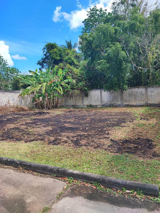 ที่ดินเปล่าในโครงการ  พร้อมสร้างบ้าน 4