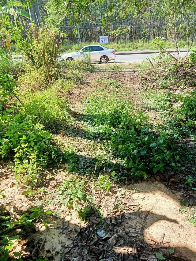 ขายที่ดินเปล่าติดถนน4เลน 10