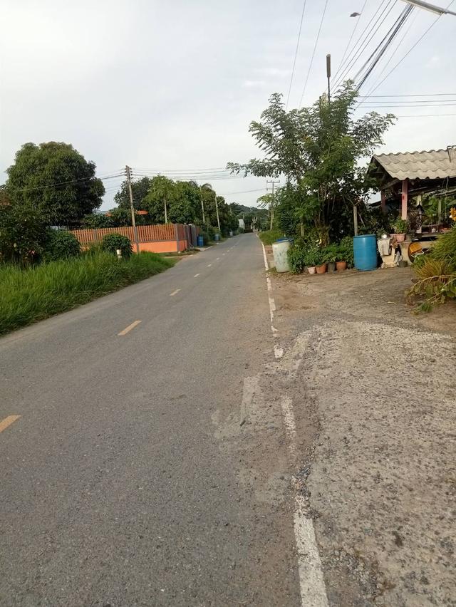 ขายที่ดิน 189 ตรว ต.ตาลเดี่ยว อ.แก่งคอย ห่างถนนแก่งคอยบ้านนา 1.3 กม ขาย7 แสนบาท 11