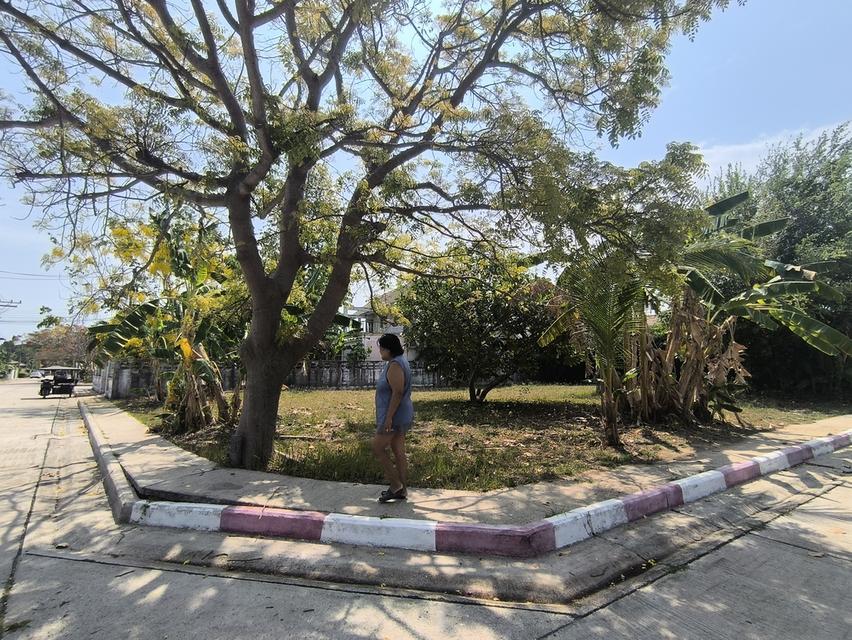 ที่ดินติดทะเล หาดแม่รำพึง 5