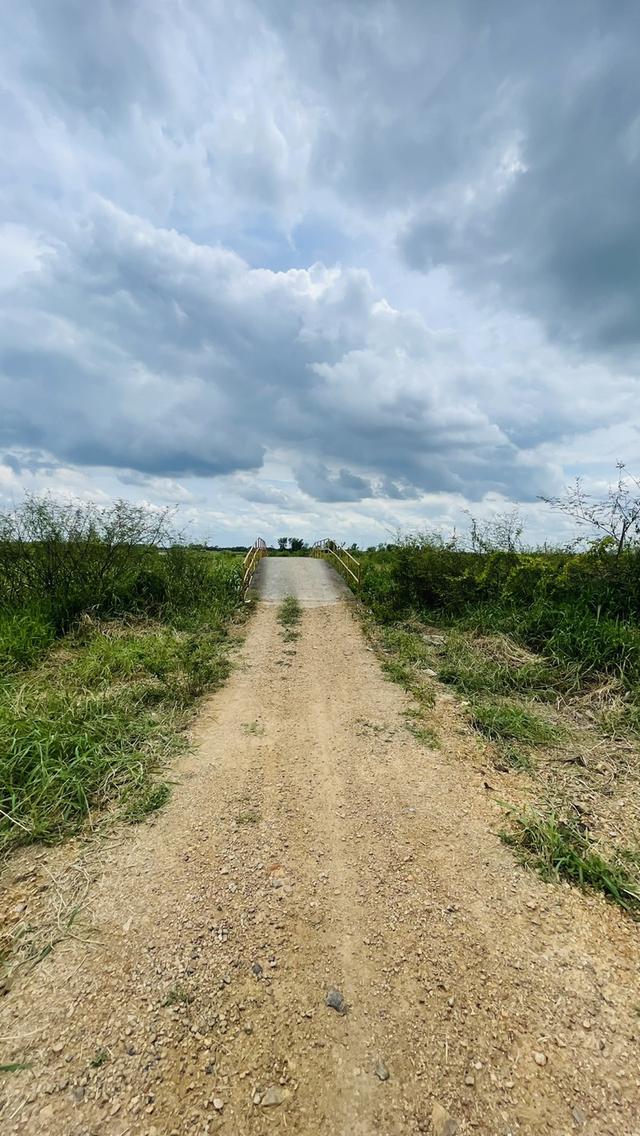 ขายที่ดินนครนายก (คลอง 15) เนื้อที่ 22-0-67.6 ไร่ 10