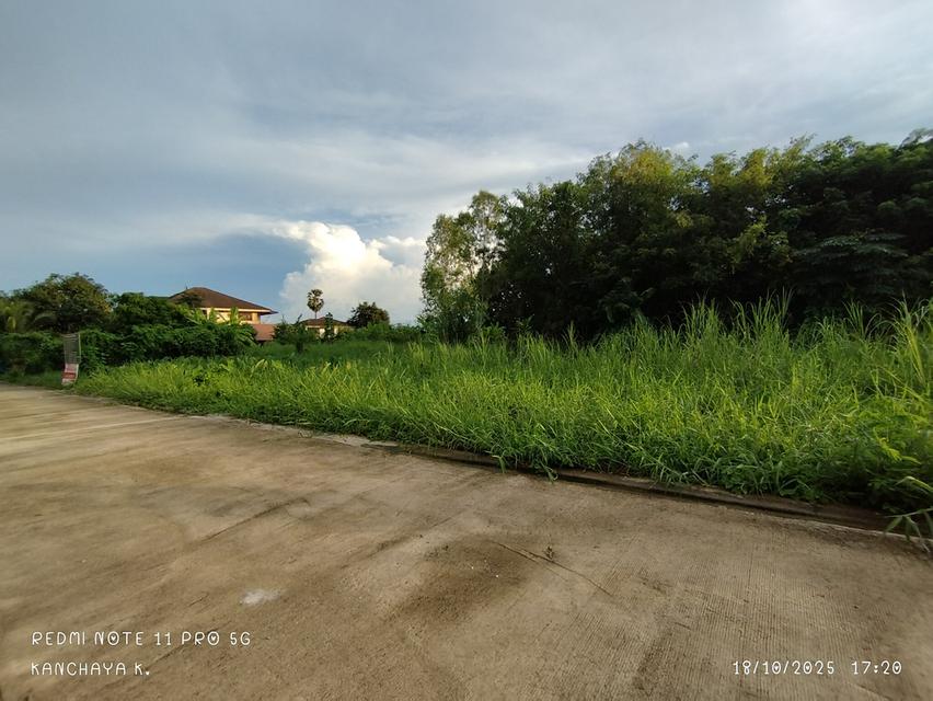 ถูกที่สุด!! ที่ดินเปล่า หลังตึกทรู บ้านคลอง พิษณุโลก 6