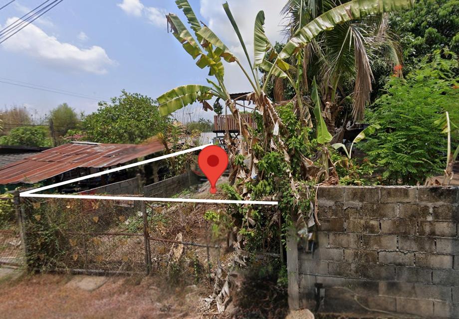 ขายที่ดินผืนเล็ก แม่แตง เชียงใหม่ 2