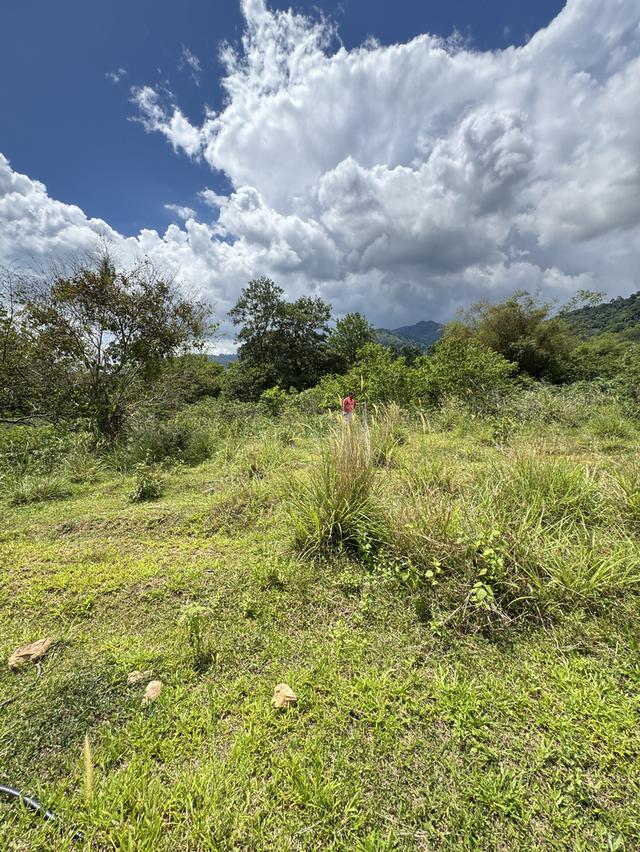 ที่ดินแถวอำเภอช้างกลาง จังหวัดนครศรีธรรมราช 13