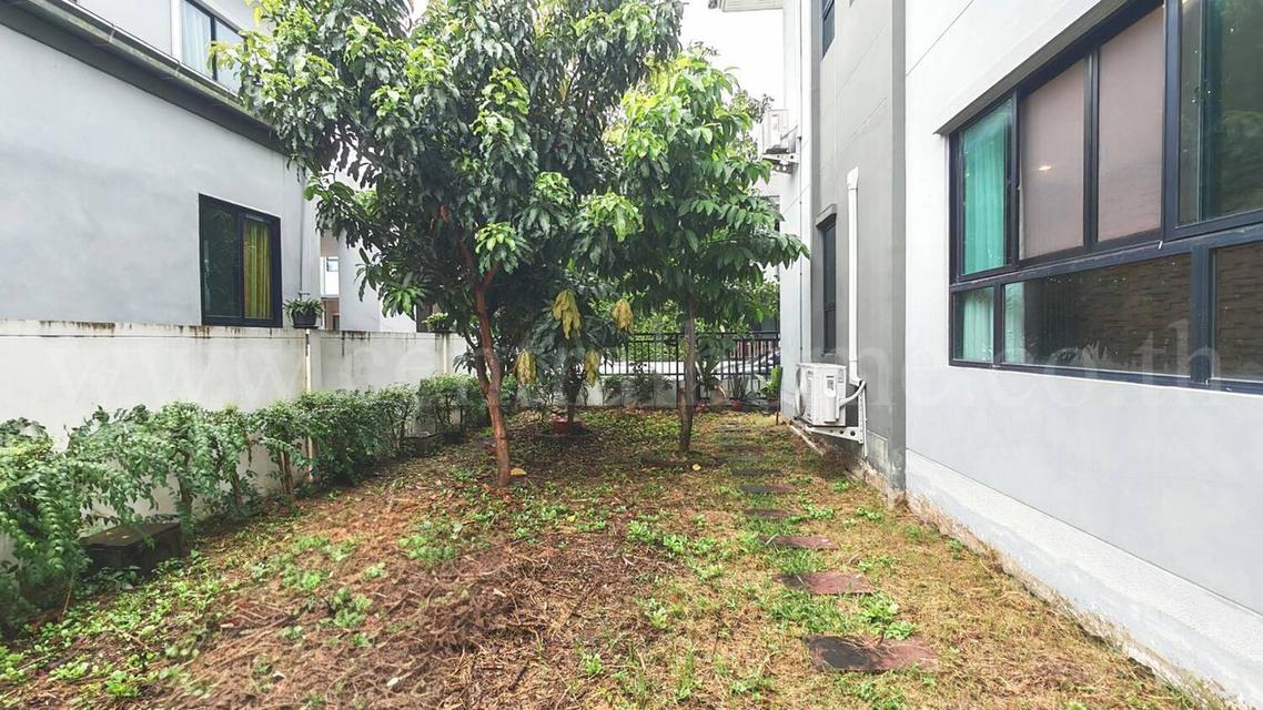 บ้านเดี่ยว หมู่บ้านสัมมากร ชัยพฤกษ์ - วงแหวน 2 ถูกที่สุดในโครงการ 5