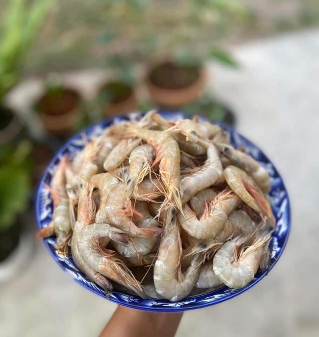 กุ้งแชบ๊วยสดจากธรรมชาติ 2