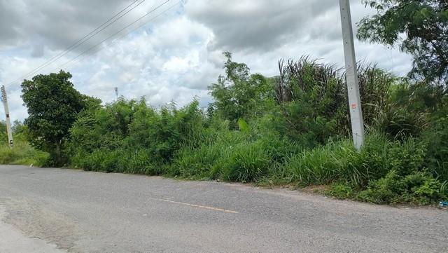 ขายที่ดินหนองบอนแดงชลบุรี ขายที่ดิน 4ไร่ ตำบล หนองบอนแดง อำเภอ บ้านบึง 2