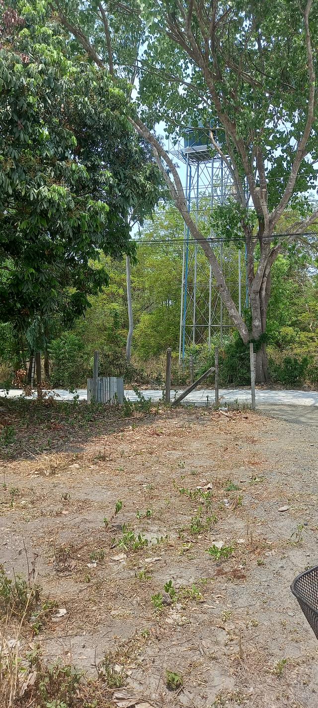 ที่ดินจังหวัดเชียงใหม่ 1