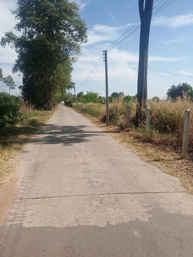 ขายที่ดินหนองยาว 2 ไร่ ติดถนนคอนกรีตซอยวัดต้นตาล ใกล้ถนนเส้น3076-850เมตร อ.พนมสารคาม ฉะเชิงเทรา 1