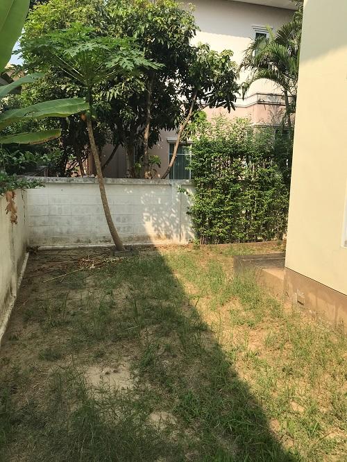 U1186 ให้เช่าบ้านเดี่ยว 2 ชั้นหมู่บ้านสราญสิริ ราชพฤกษ์แจ้งวัฒนะ บ้านอยู่ซอย 8 พร้อมเฟอร์ และ เครื่องใช้ไฟฟ้า จอดรถได้ 2 3