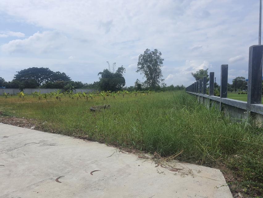 ขายที่ดินตาขันถมแล้ว 2 ไร่ ติดถนนคอนกรีต ซ.สวนสุขภาพหนองอ้อใกล้แยกบ้านแลงถนนเส้น36-3.7กม. อ.บ้านค่าย ระยอง 5