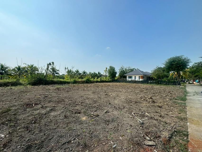 ที่ดินตำบลหนองช้างคืน จ.ลำพูน 5