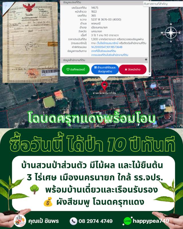 🌳 ที่ดินเมืองนครนายก พรหมณี 3 ไร่เศษ พร้อมบ้านสวนป่าส่วนตัวผังสีชมพู ใกล้ รร.จปร. 14