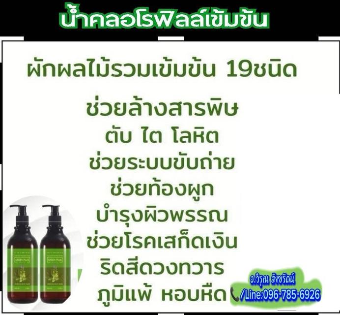 ไอรดาน้ำคลอโรฟิลล์​เข้มข้น​ล้างสารพิษ