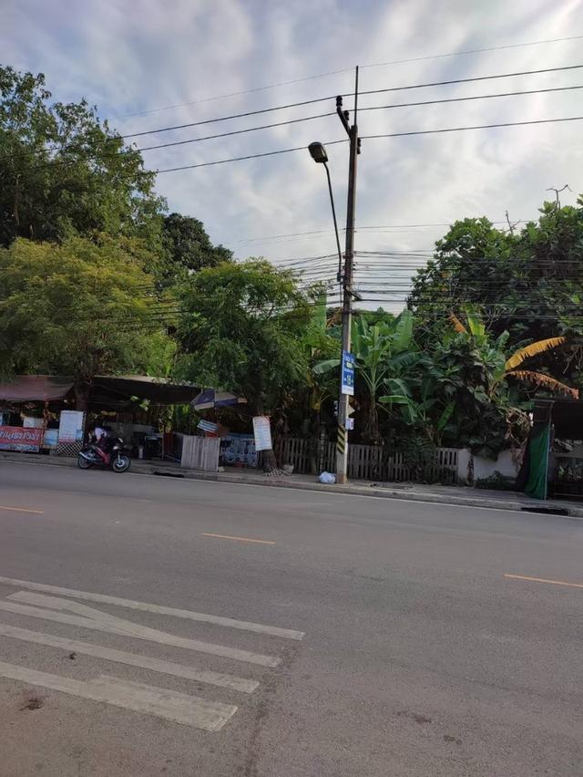 ขายที่ดินอำเภอเมืองราชบุรี 7