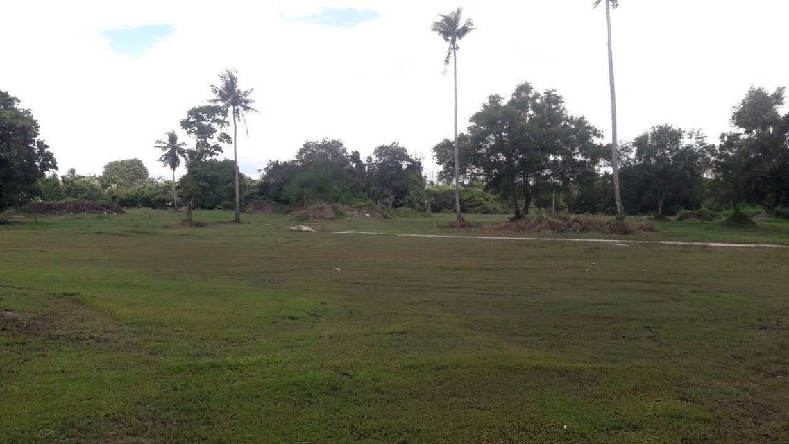 ขายที่ดินเปล่า 32 ไร่ – ทำเลทองใกล้โรงแรมอนันตรา หาดไม้ขาว ภูเก็ต 4