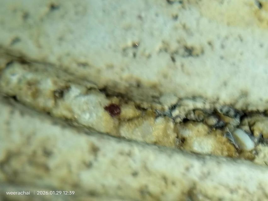 พระสมเด็จวัดระฆังพิมพ์เกศบัวตูม รูปที่ 6