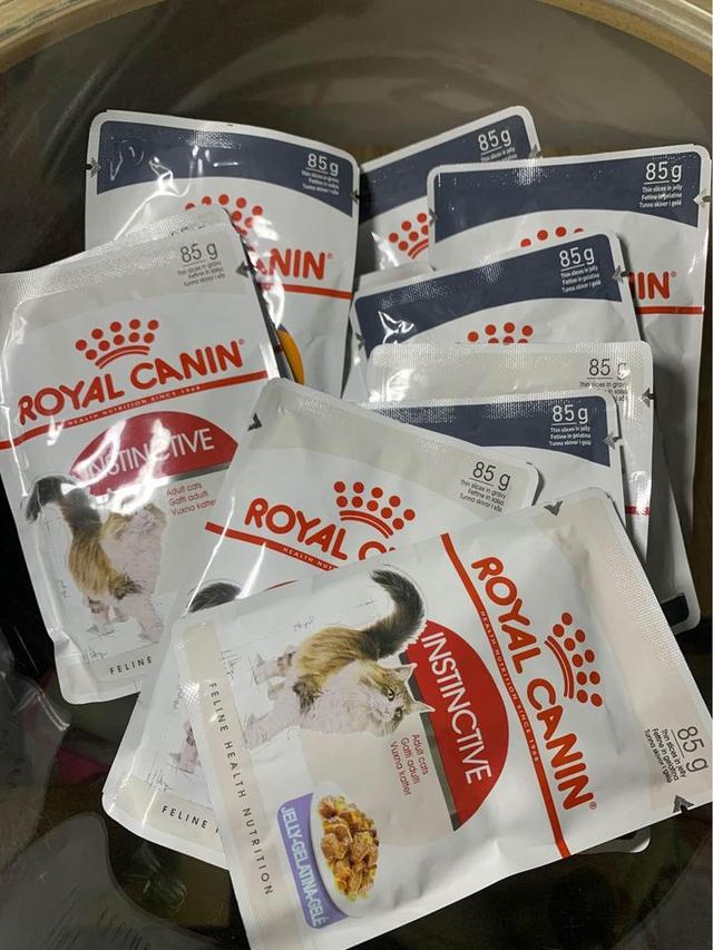 เปียกแมว Royal Canin 3