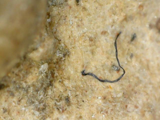 พระผงสุพรรณพิมพ์หน้าแก่ 4