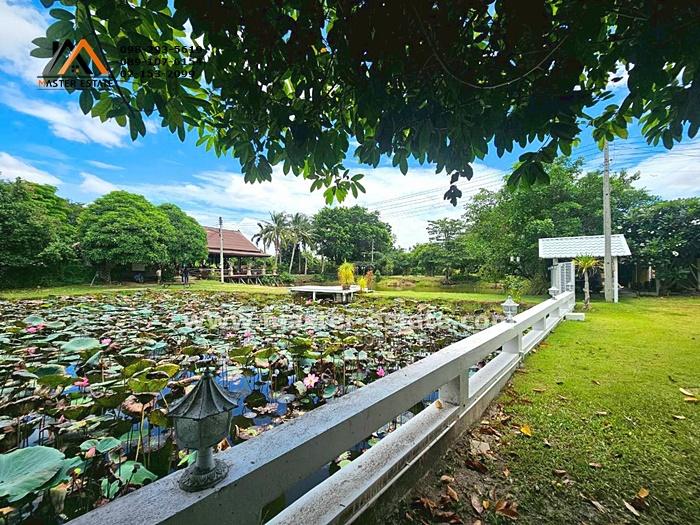 ที่ดินกาญจนบุรี 8-1-23 ไร่ พร้อมเรือนไทย + ร้านอาหาร + บึงบัว + บ่อปลาคราฟ และสิ่งปลูกสร้าง ร่มรื่น พร้อมดำเนินกิจการต่อ ห่างจากมอเตอร์เวย์ 6 กม.  8