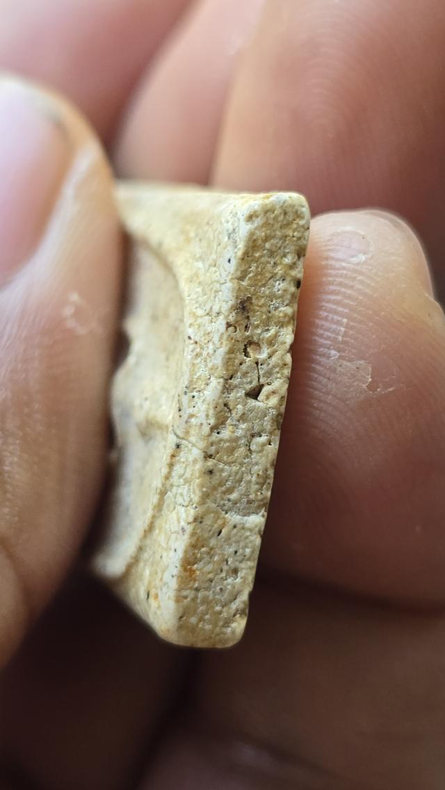 พระสมเด็จวัดระฆังพิมพ์ใหญ่  5