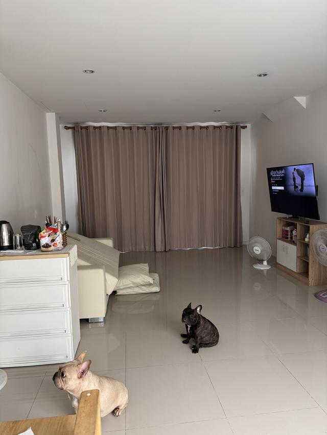 บ้านทาวน์โฮม โครงการศุภาลัย โนโววิวล์ 12