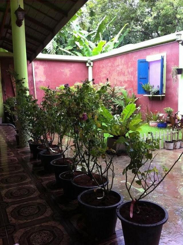 อาคารพาณิชย์2คูหา2ชั้น ในตลาดทองผาภูมิ 5